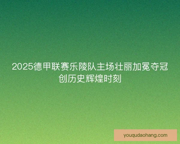 2025德甲联赛乐陵队主场壮丽加冕夺冠创历史辉煌时刻 2025德甲联赛乐陵队主场壮丽加冕夺冠创历史辉煌时刻