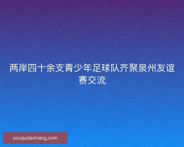 两岸四十余支青少年足球队齐聚泉州友谊赛交流